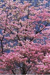 《英雄不再3》持久战及竞速玩法迷你游戏介绍视频